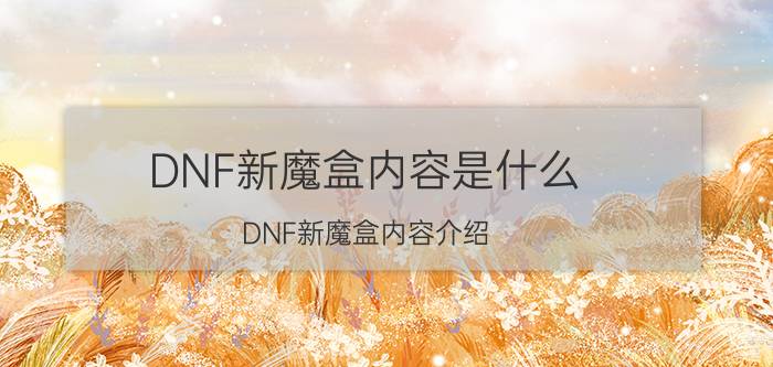 DNF新魔盒内容是什么 DNF新魔盒内容介绍